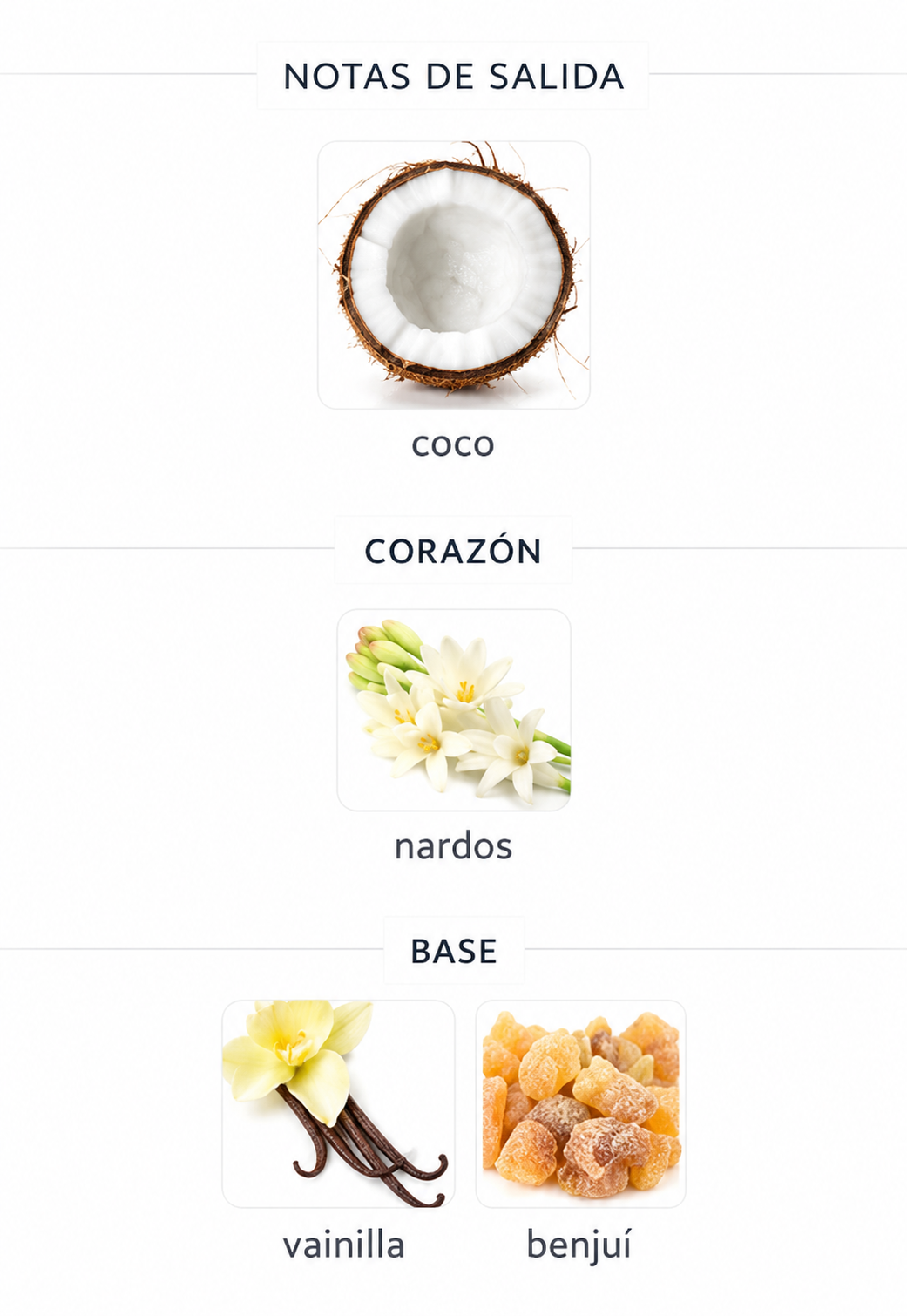 Coconut Leche